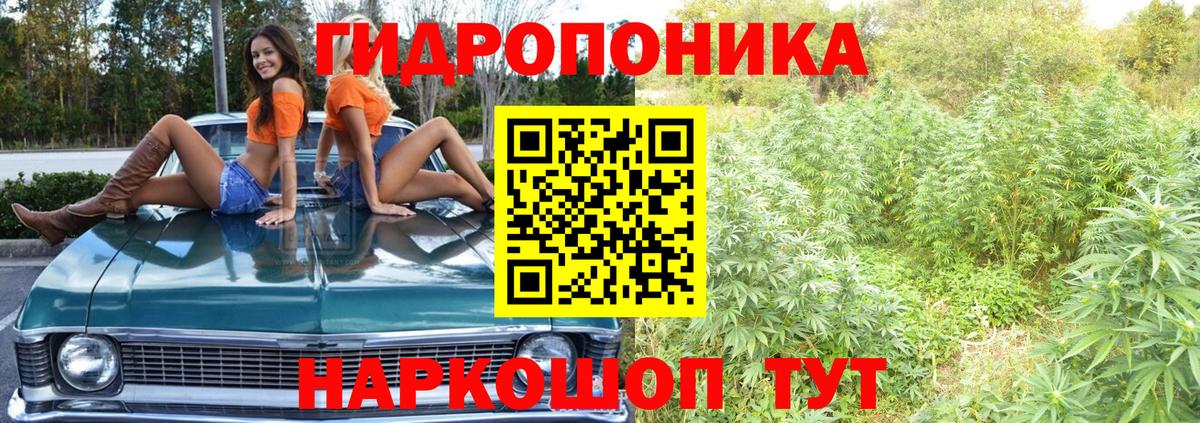 Шишки марихуана OG Kush  Каннабис конопля  МАРИХУАНА AK-47  Карасук  Шишки марихуана SATIVA & INDICA  Вход с VPN 